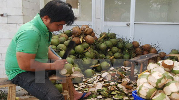 Bến Tre: Nghịch cảnh xứ dừa không thể sống nhờ cây dừa